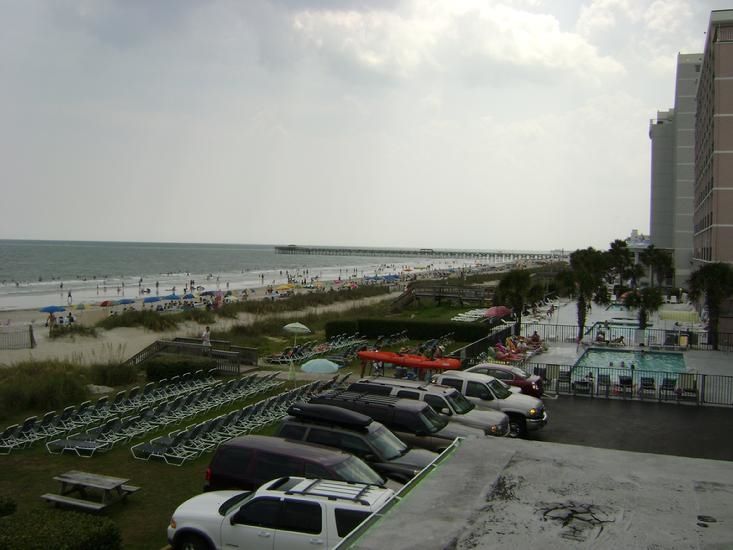 מירטל ביץ' Sea Hawk Oceanfront Motel טבע תמונה