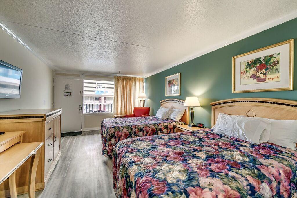 מירטל ביץ' Sea Hawk Oceanfront Motel מראה חיצוני תמונה