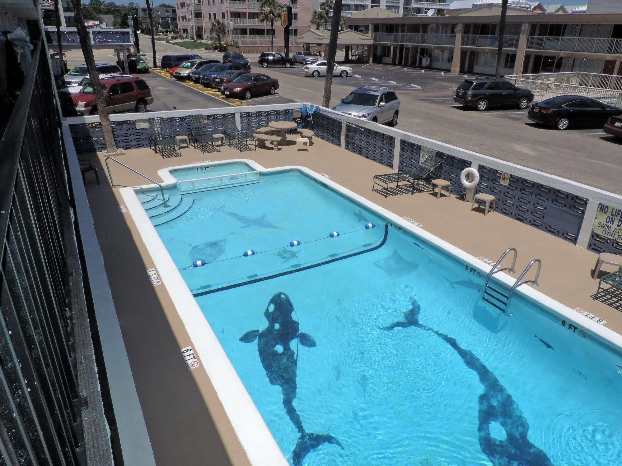 מירטל ביץ' Sea Hawk Oceanfront Motel מראה חיצוני תמונה