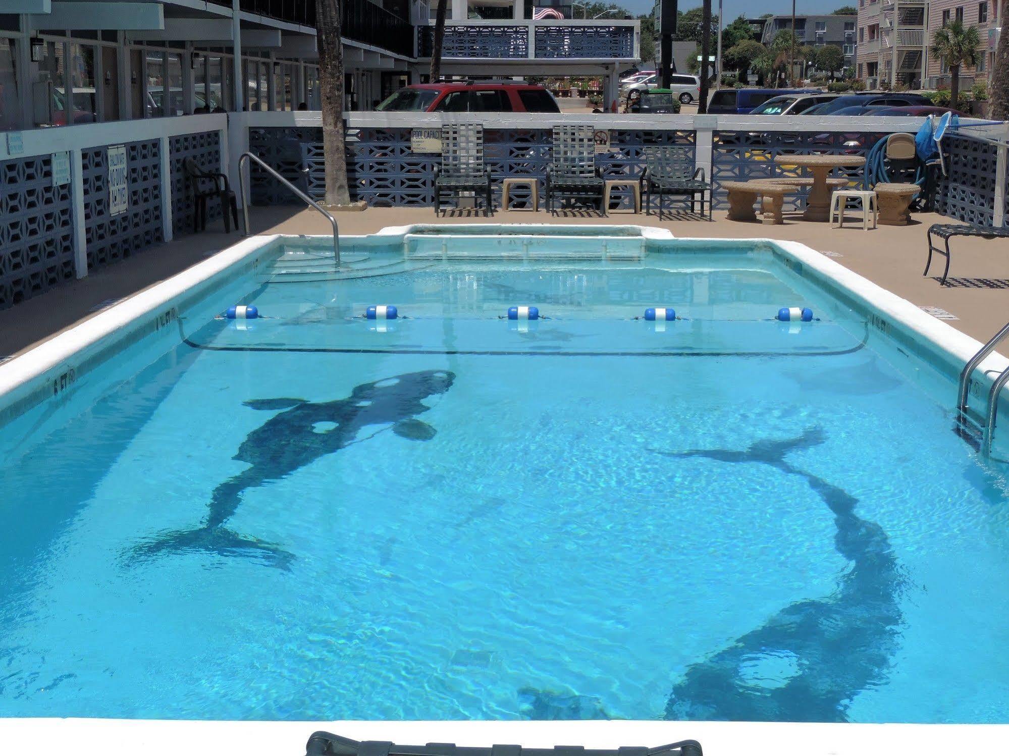 מירטל ביץ' Sea Hawk Oceanfront Motel מראה חיצוני תמונה