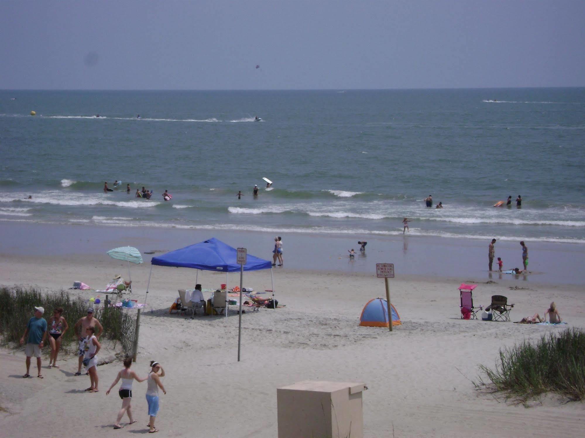 מירטל ביץ' Sea Hawk Oceanfront Motel מראה חיצוני תמונה